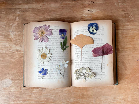 Transform Your Journaling with Nature-Inspired Elements