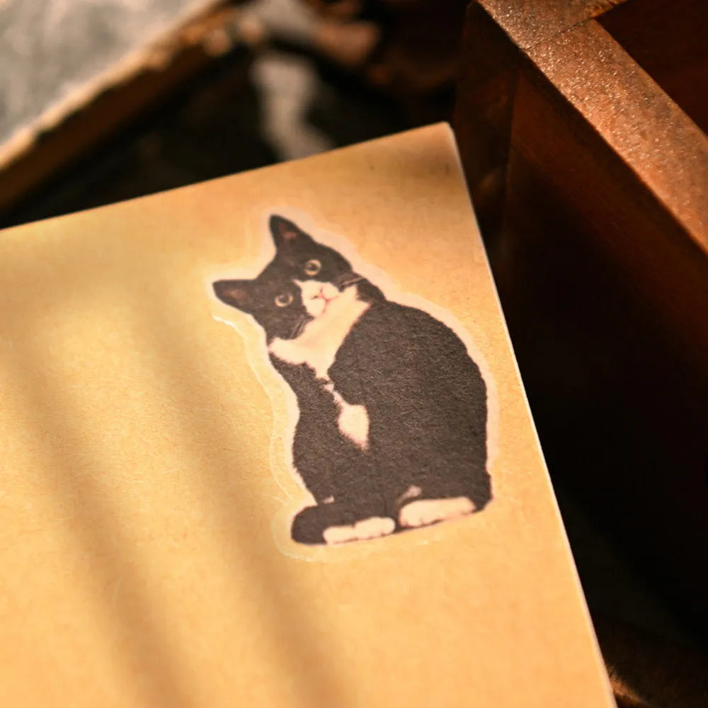 Ensemble d'autocollants à décalquer Ethereal Muse