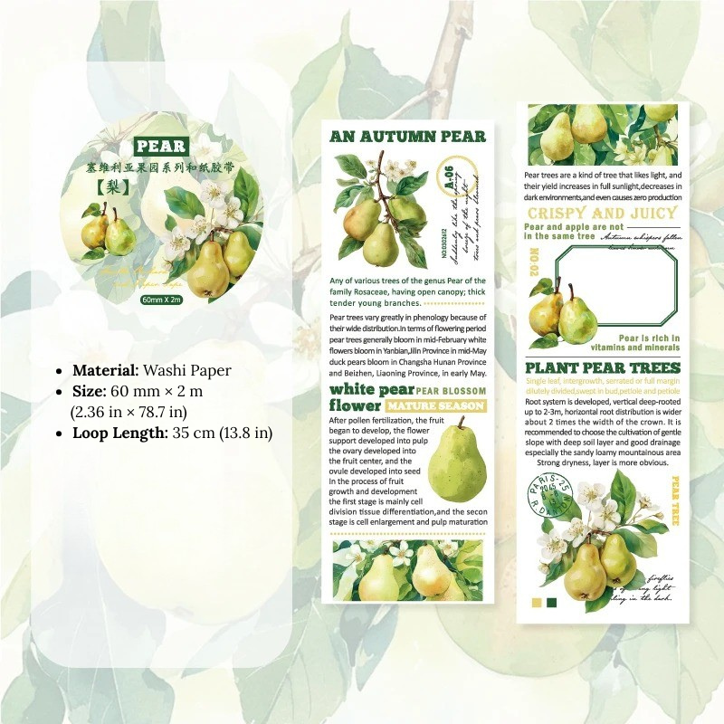 Fruit Encyclopedia Washi Tape