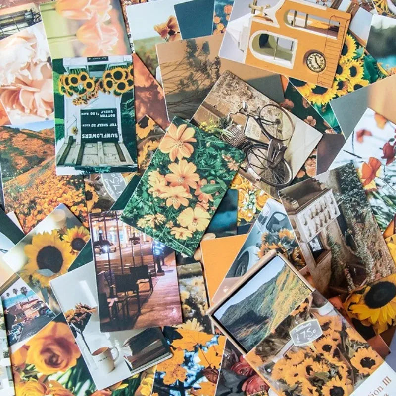 Nature Scenery Paper