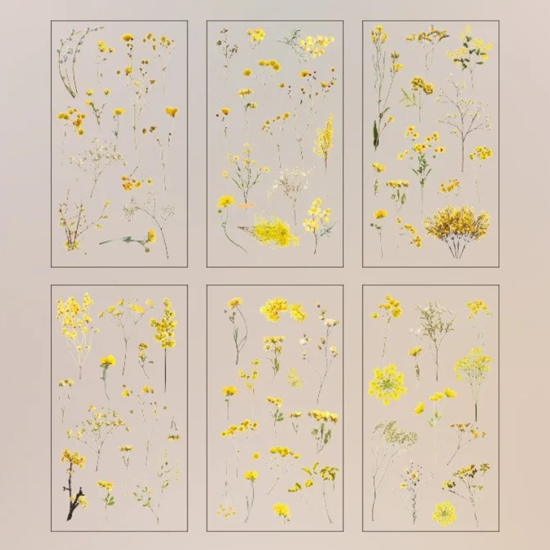 Natural Series Botanical PET Sticker Pack