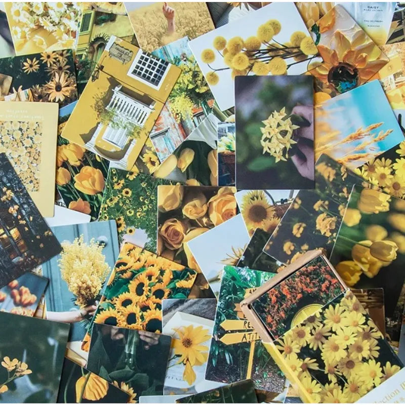 Nature Scenery Paper