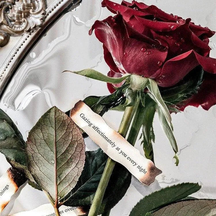 Flowers And Poetry PET And White Kraft Paper Stickers for Journaling & Scrapbooking - PaperWrld