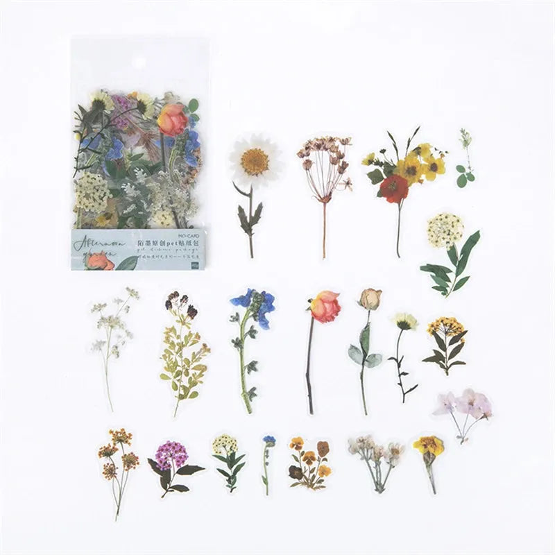 Nature-Inspired PET Transparent Sticker Set