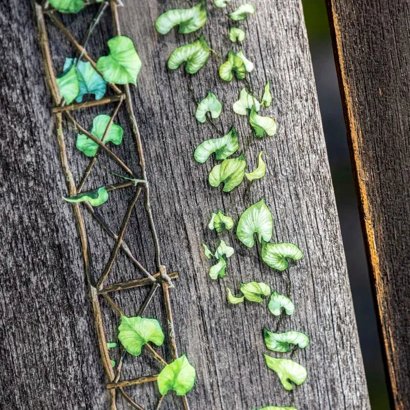Rustic Charm PET Washi Tape