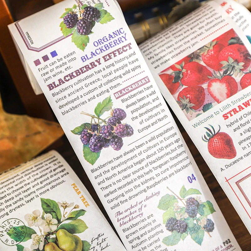 Fruit Encyclopedia Washi Tape