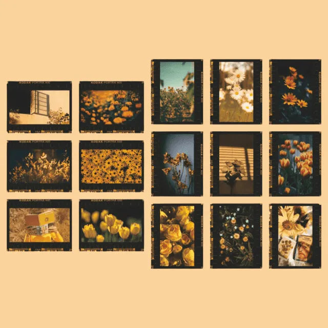 30 Pcs Photo Negative Stickers for Journaling & Scrapbooking - PaperWrld