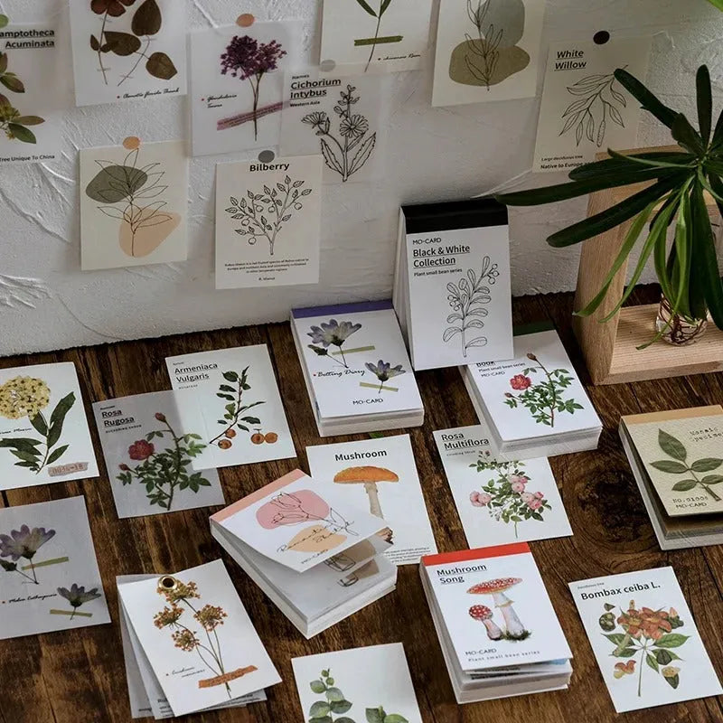 Botanical Essence Tear-Off Paper Set