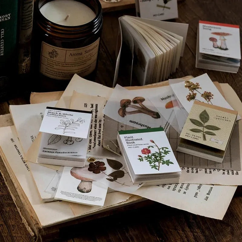 Botanical Essence Tear-Off Paper Set