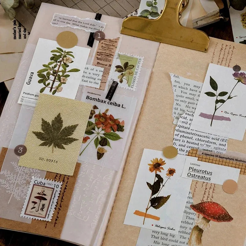 Botanical Essence Tear-Off Paper Set
