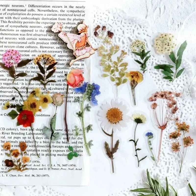 Nature-Inspired PET Transparent Sticker Set