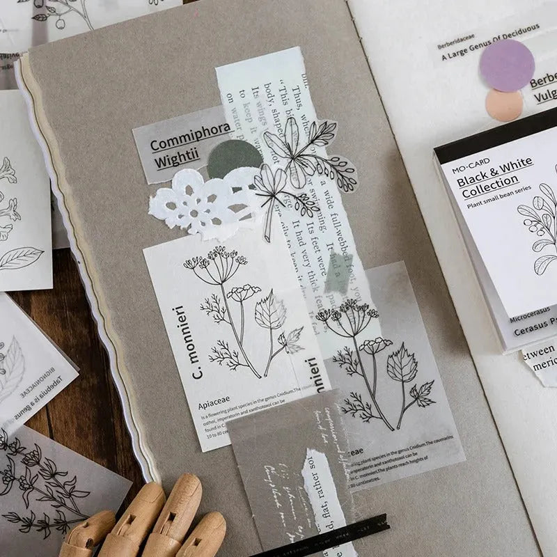 Botanical Essence Tear-Off Paper Set
