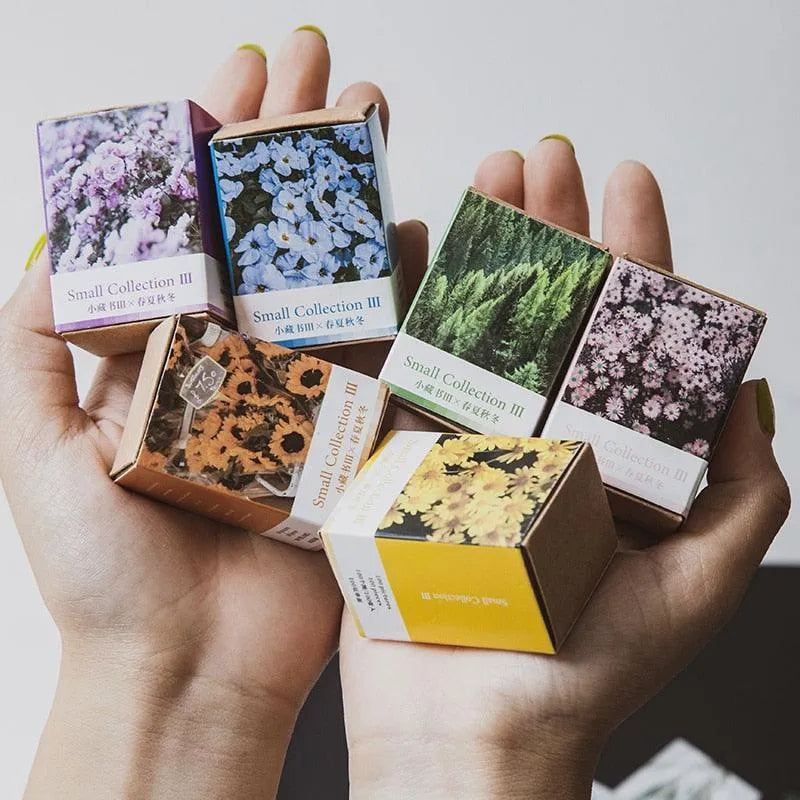 Floral Decorative Journal Cards (DONE) - PaperWrld - Journaling - Scrapbooking