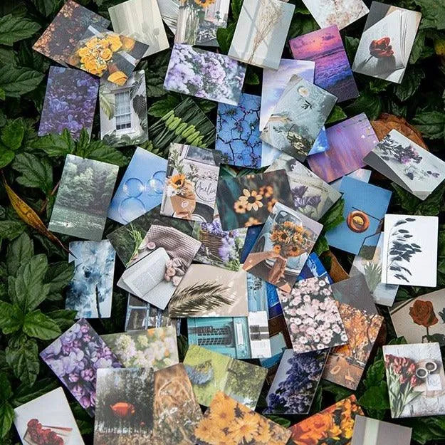 Floral Decorative Journal Cards (DONE) - PaperWrld - Journaling - Scrapbooking