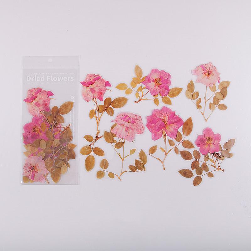 6 Pcs Floral PET Stickers - Flower - PaperWrld