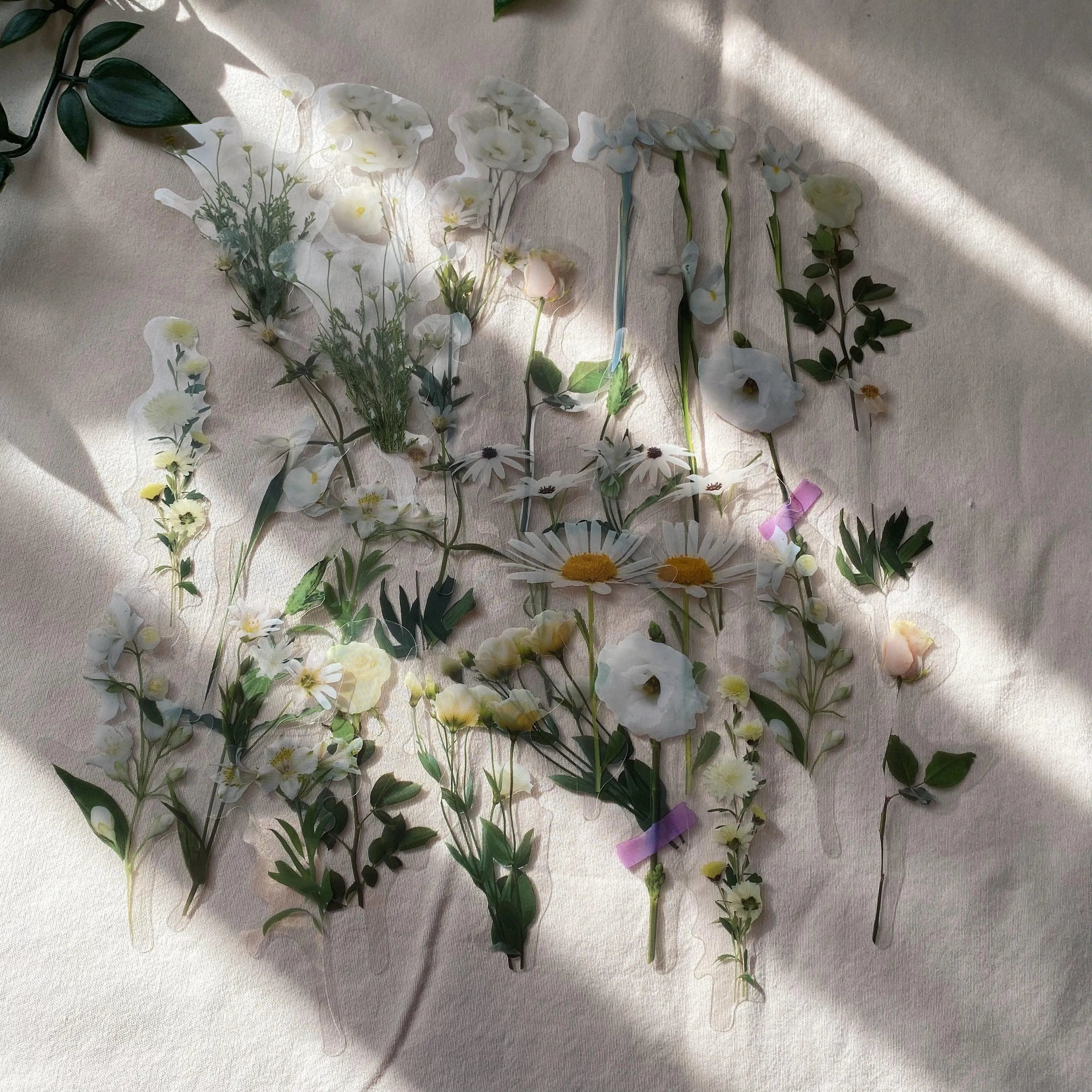 Outdoor Adventure Box for Journaling & Scrapbooking - PaperWrld