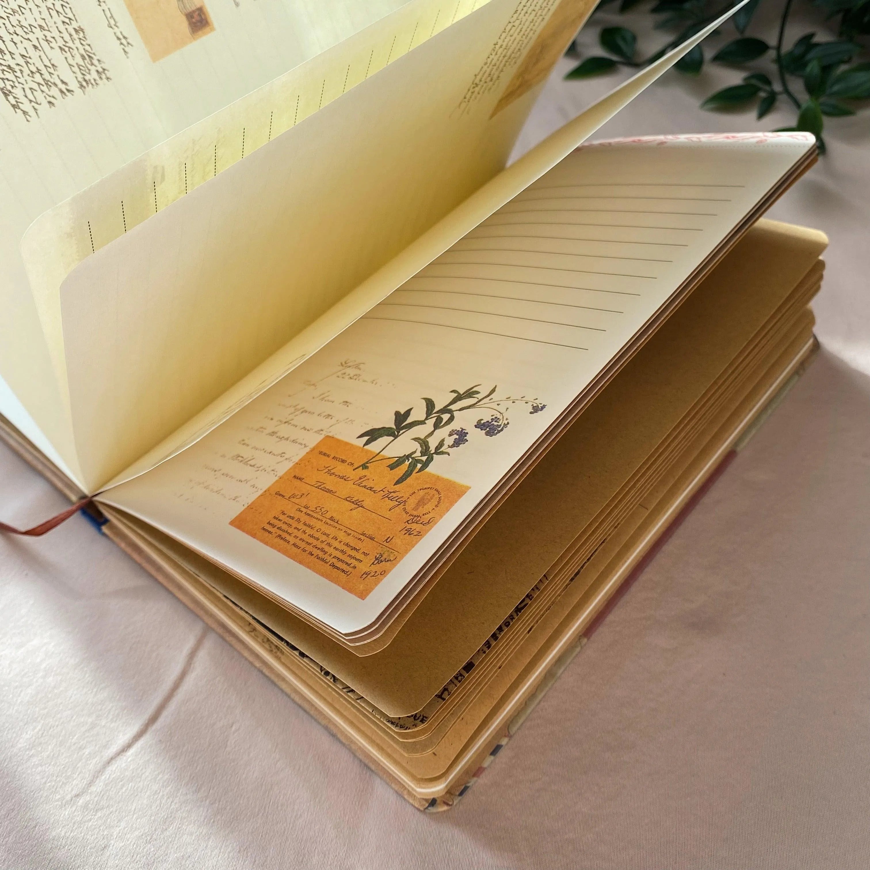 Outdoor Adventure Box for Journaling & Scrapbooking - PaperWrld