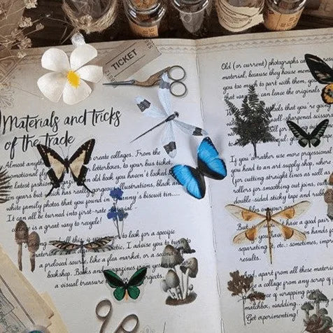 Butterfly & Dragonfly Stickers for Journaling & Scrapbooking - PaperWrld