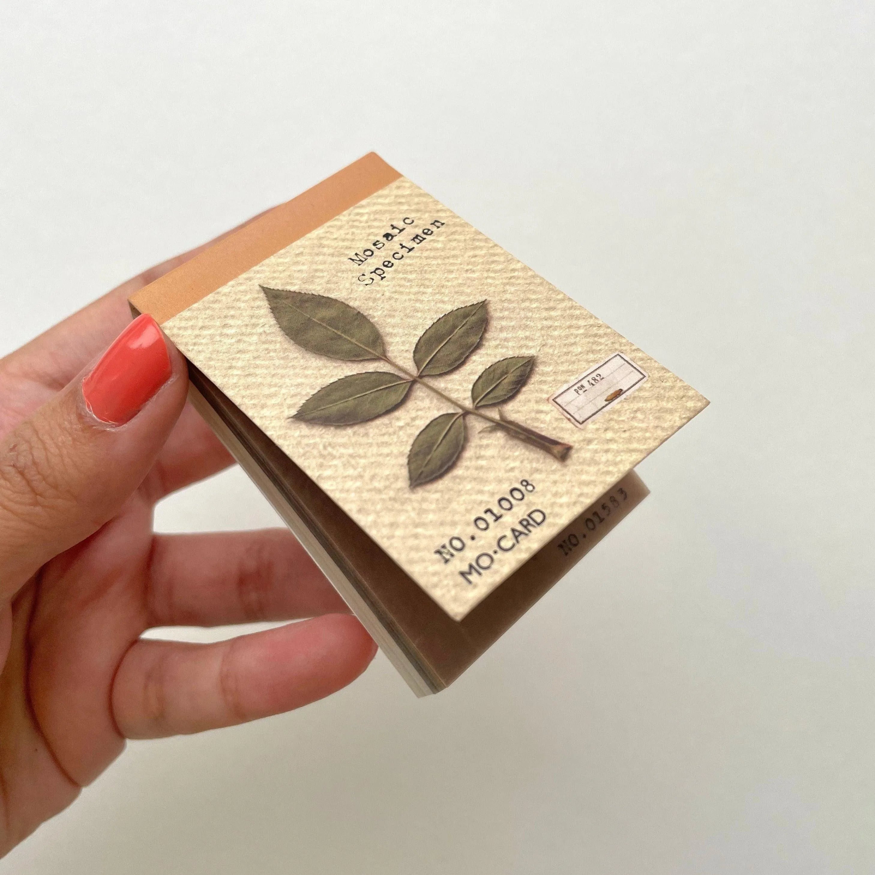 Golden Touch Box for Journaling & Scrapbooking - PaperWrld