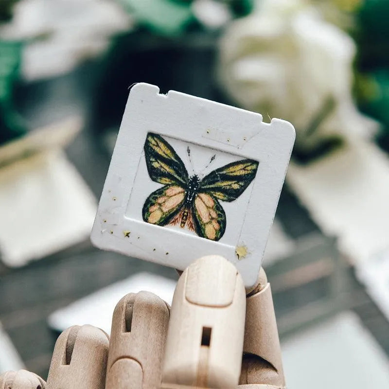 Transparency Slide Film Frame for Journaling & Scrapbooking - PaperWrld