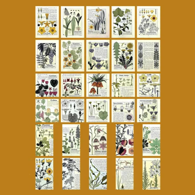 Time Traveler Retro Paper Set 60pcs for Journaling & Scrapbooking - PaperWrld