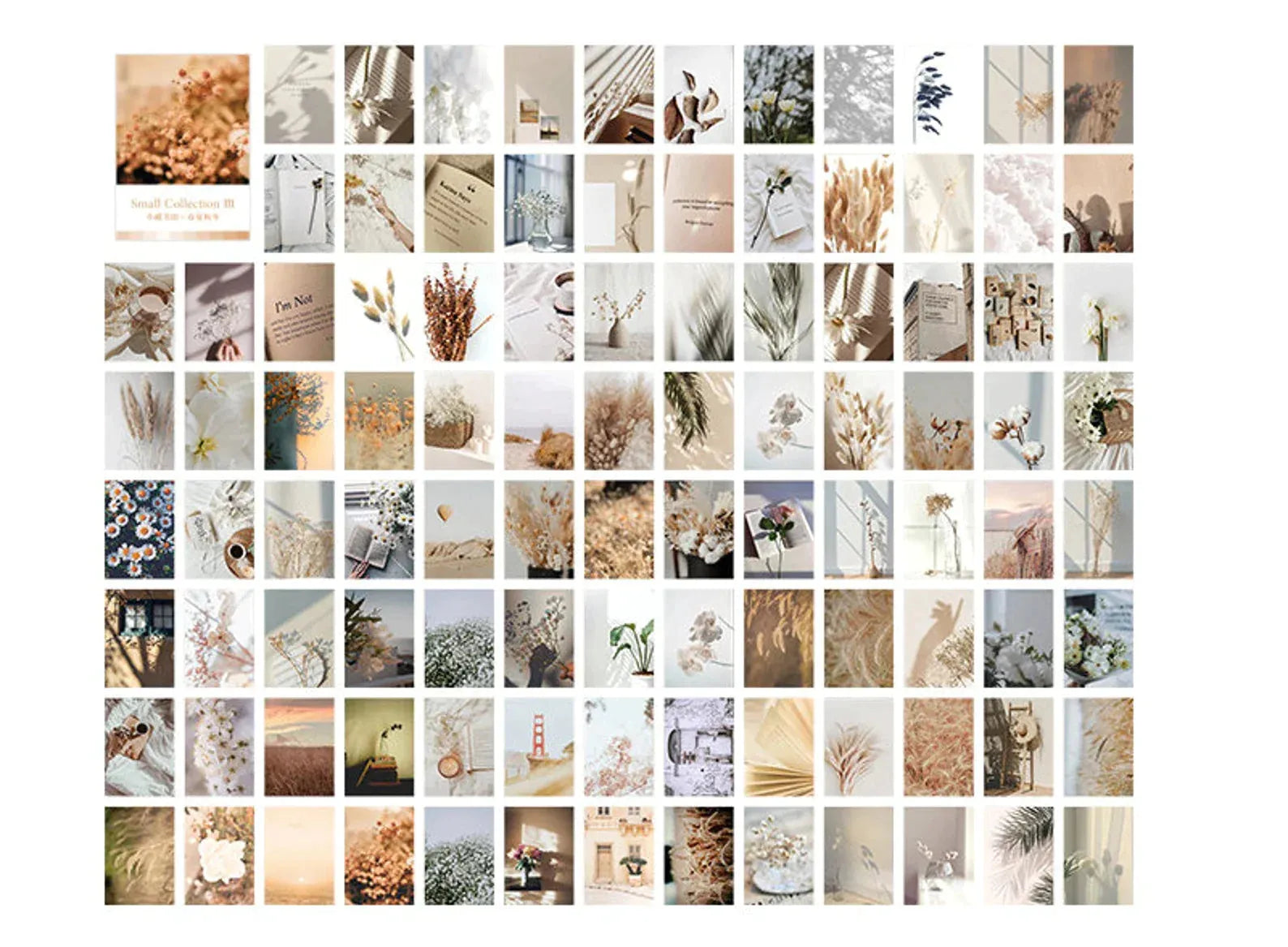 Floral Decorative Journal Cards (DONE) - PaperWrld - Journaling - Scrapbooking