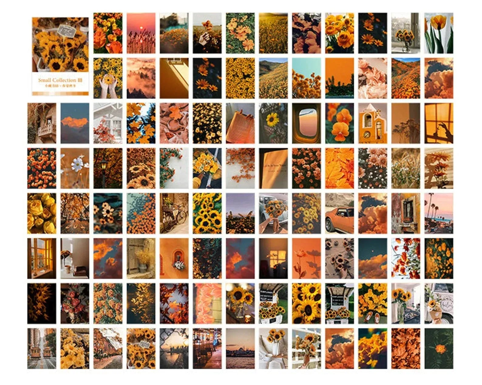 Floral Decorative Journal Cards (DONE) - PaperWrld - Journaling - Scrapbooking