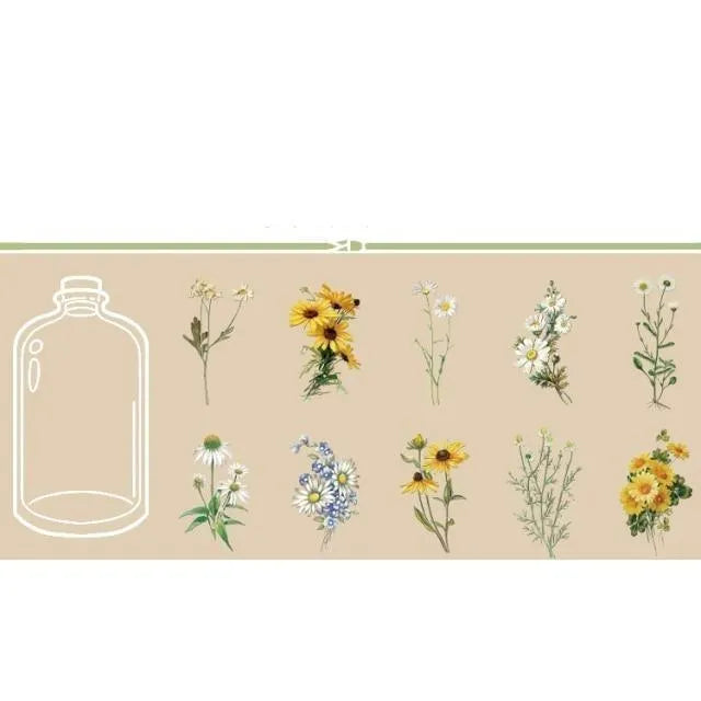 Transparent Decorative Stickers Flowers Plant for Journaling & Scrapbooking - PaperWrld