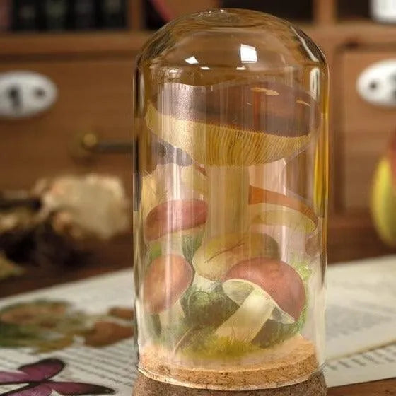 Transparent Decorative Stickers Flowers Plant for Journaling & Scrapbooking - PaperWrld