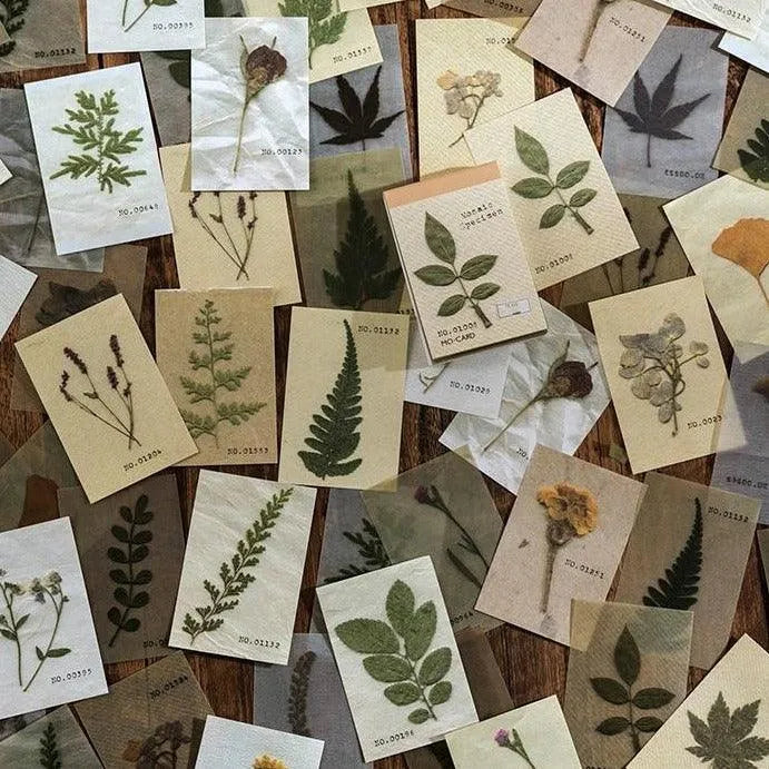 Nature Paper Set for Journaling & Scrapbooking - PaperWrld