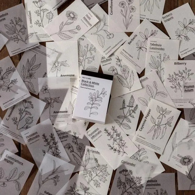 Nature Paper Set for Journaling & Scrapbooking - PaperWrld