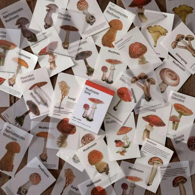 Nature Paper Set for Journaling & Scrapbooking - PaperWrld