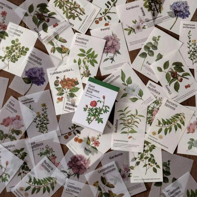 Nature Paper Set for Journaling & Scrapbooking - PaperWrld