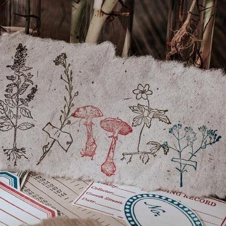 Vintage Plant cultivations Wooden Stamps for Journaling &amp; Scrapbooking - PaperWrld