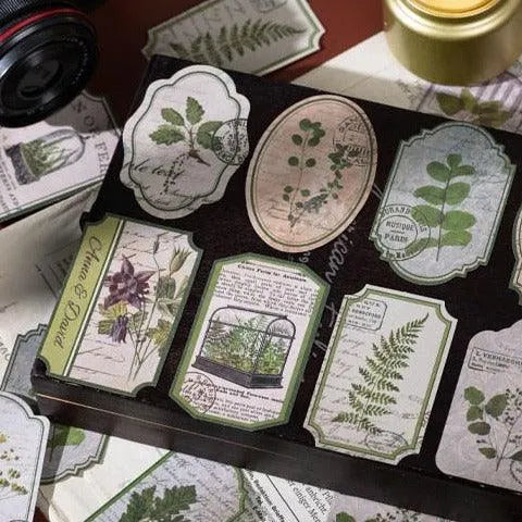 Dimi 60pcs/box Time Travel Notes Stickers 2kind Material Adhesive DIY Bookmarks Decor Scrapbooking Retro plant Journal Sticker - PaperWrld - Journaling - Scrapbooking