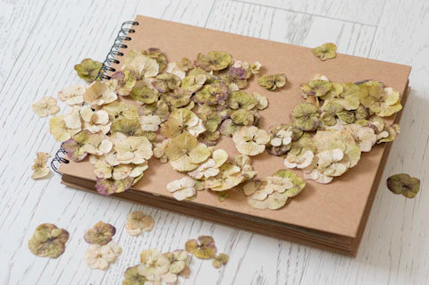 Sustainable Scrapbooking Eco-Friendly Tips and Techniques