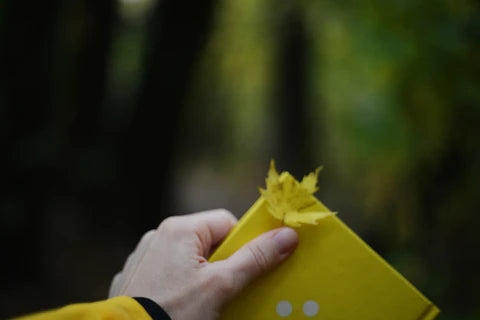 Journaling Through the Seasons Capturing Nature's Beauty