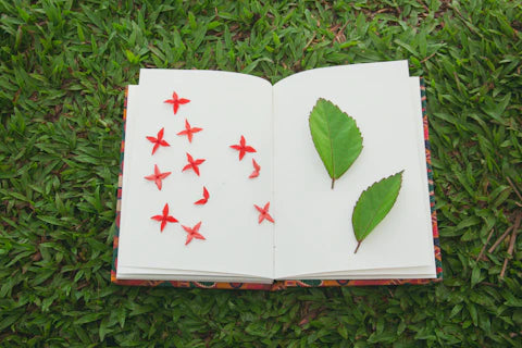 Embracing Nature in Your Journaling Journey