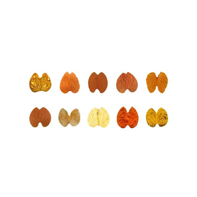 Autumn Leaves Masking Tape Roll - 50 Pcs Nature-Inspired Washi Leaf Stickers