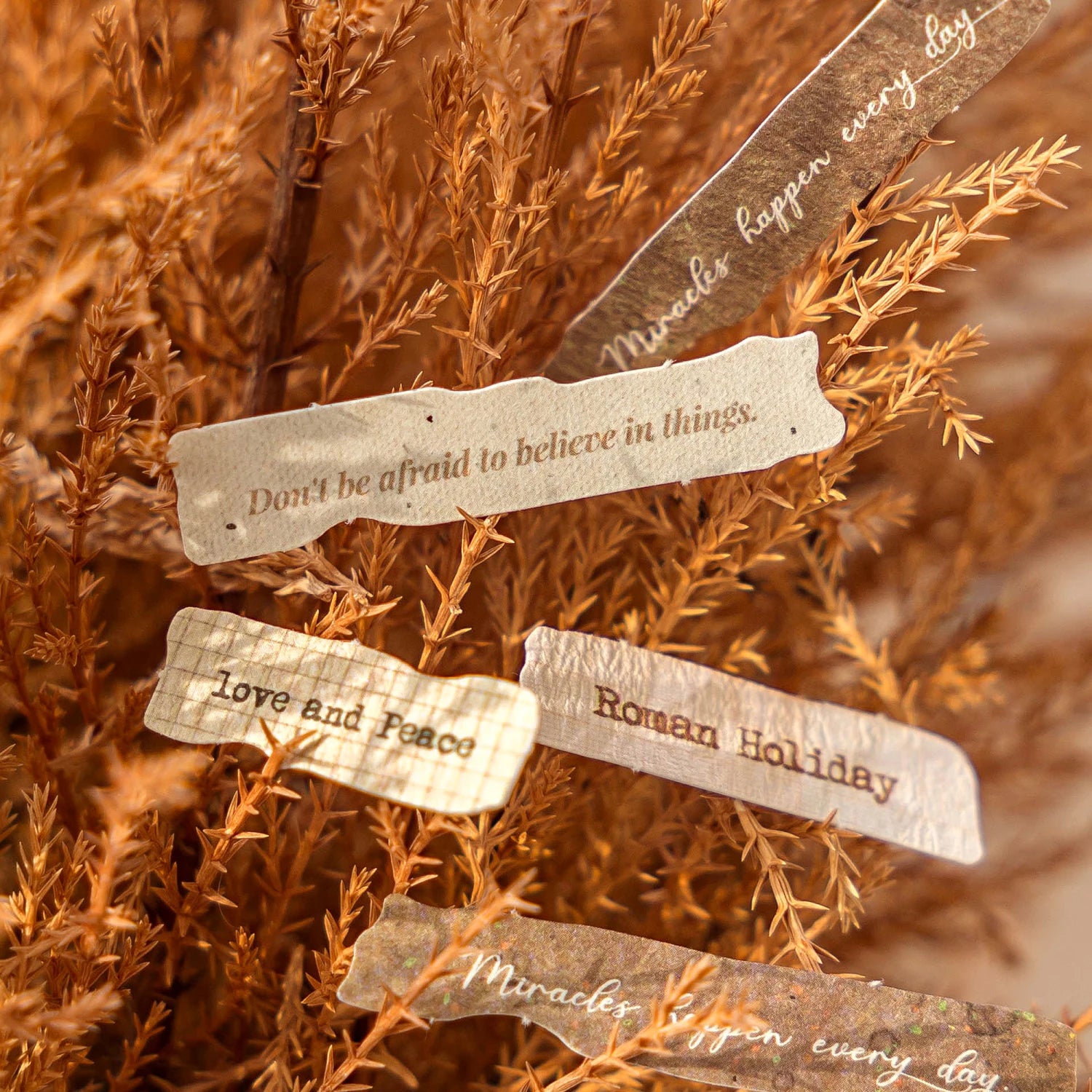 Fragmentary Thoughts Candy Poetry Stickers