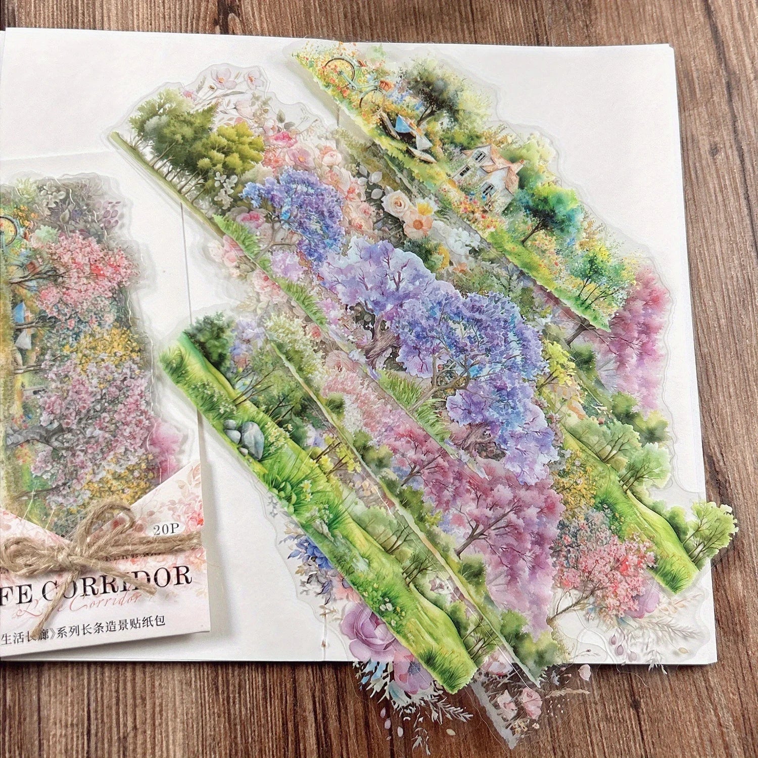 Life Corridor PET Landscape Sticker Pack