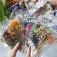 6 Pcs Floral PET Stickers for Journaling &amp; Scrapbooking - PaperWrld