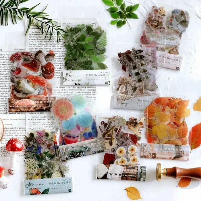 Nature-Inspired PET Transparent Sticker Set – Up 60% Off at PaperWrld