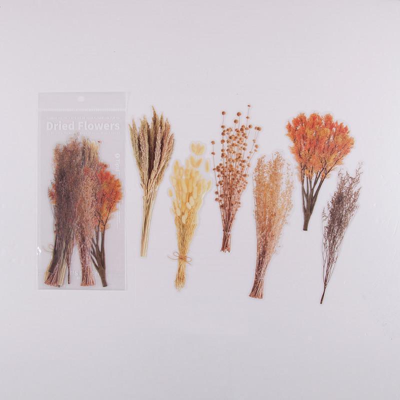6 Pcs Floral PET Stickers - Wheat Field - PaperWrld