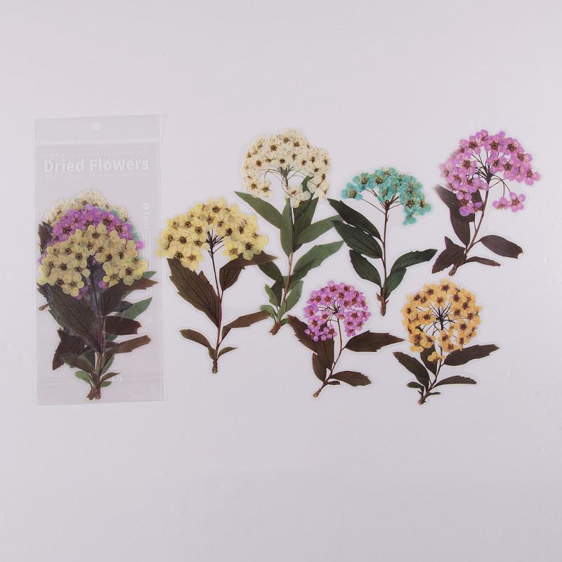 6 Pcs Floral PET Stickers - Blooming Pinellia - PaperWrld