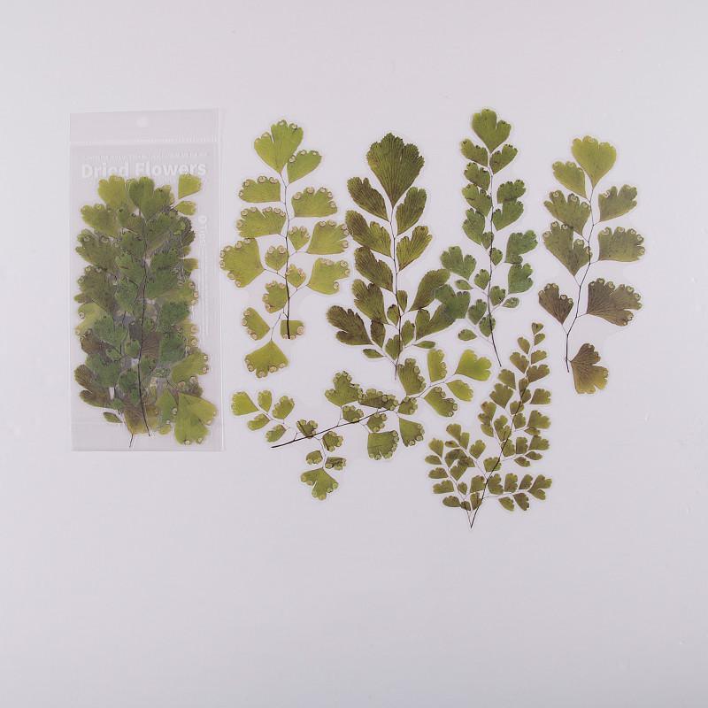 Flowers & Plants Stickers - Spring Breeze, - PaperWrld