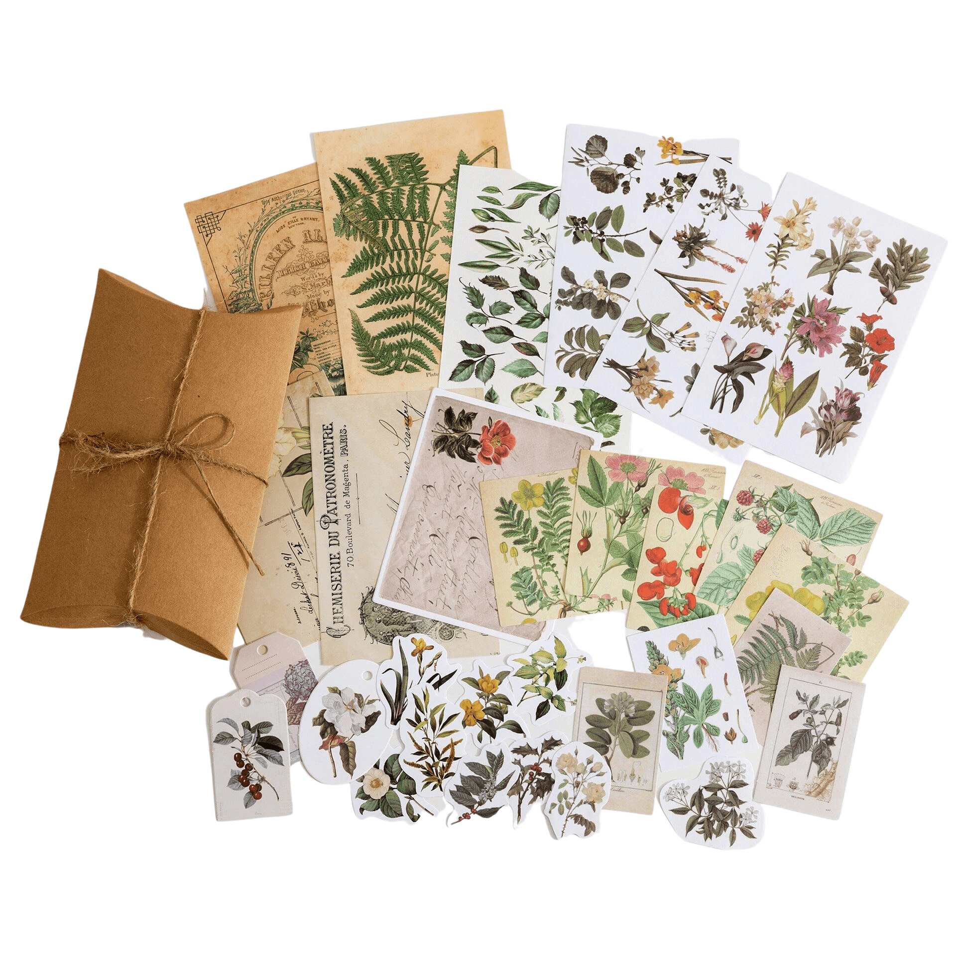 Paper & Stickers Pack Decorative Natural Collection - Plants Pack - PaperWrld