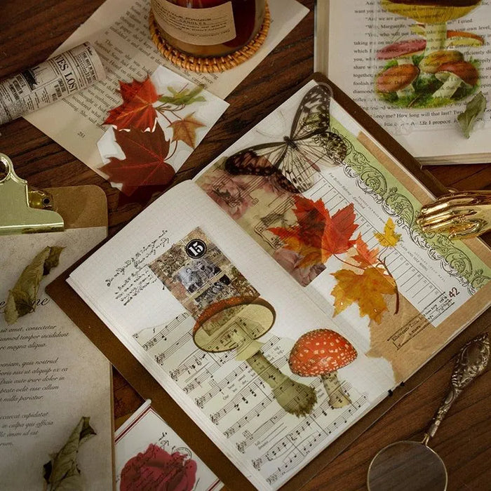 Botanical Transparent Sticker Pack – Up 60% Off at PaperWrld