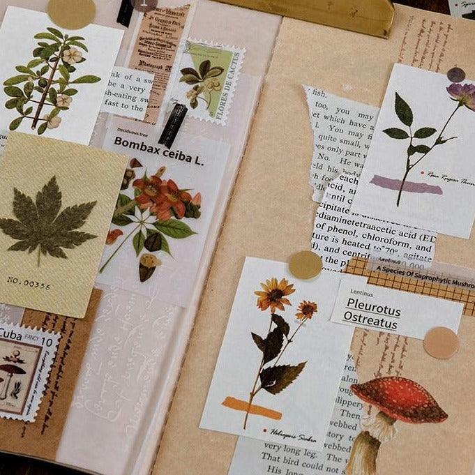 Nature Paper Set - PaperWrld