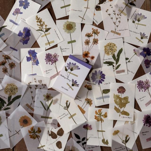 Nature Paper Set - Flowers - PaperWrld